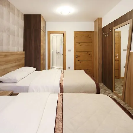 Pensionat Pansion Winter 4*