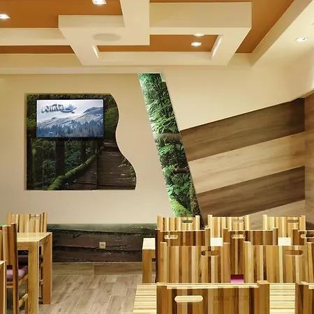 Guest house Pansion Winter *